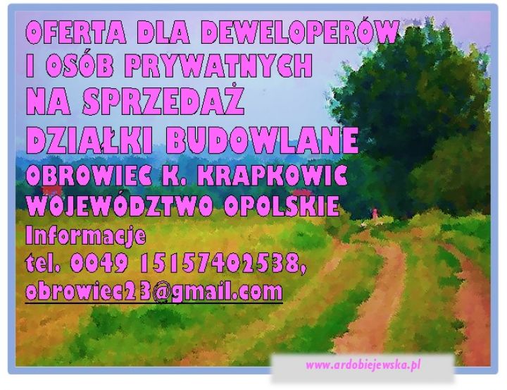 ardobiejewska.pl-na-sprzedaz-dzialki-budowlane-wojewodztwo-opolskie-dzialki-pod-budowe-oferta-dla-deweloperow.jpg