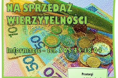ardobiejewska.pl-syndy-sprzeda-wierzytelnosci-syndyk-przetarg.jpg