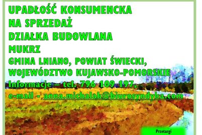 ardobiejewska.pl-syndyk-sprzeda-dzialke-budowlana-upadlosc-konsumencka-mukrz-woj.-kujawsko-pomorskie.jpg