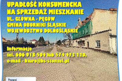 ardobiejewska.pl-syndyk-sprzeda-mieszkanie-w-pegowie.png