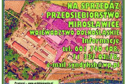 ardobiejewska.pl-syndyk-sprzeda-przedsiebiorstwo-miroslawice.jpg