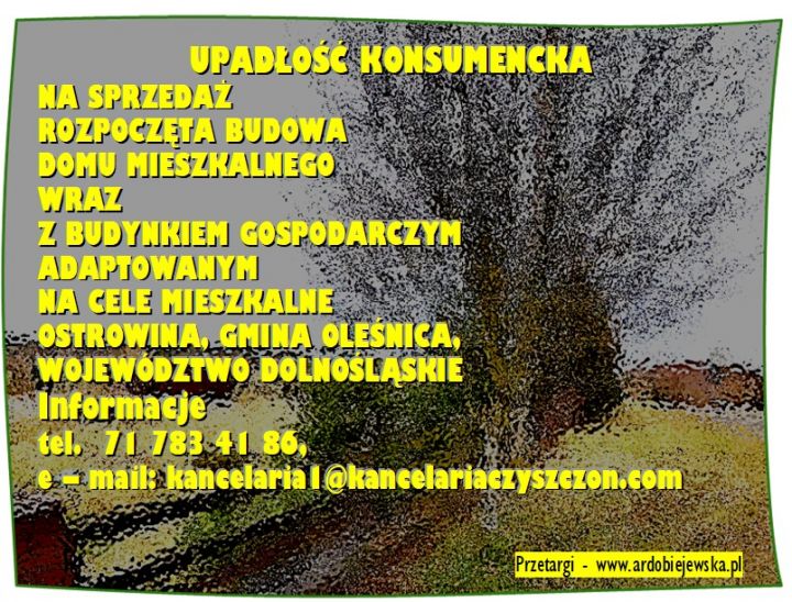 ardobiejewska.pl-syndyk-sprzeda-rozpoczeta-budowe-w-ostrowinie.jpg