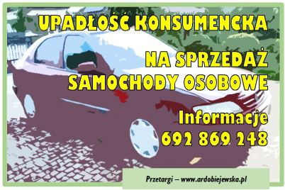 ardobiejewska.pl-syndyk-sprzeda-samochody-osobowe-upadlosc-konsumencka.jpg