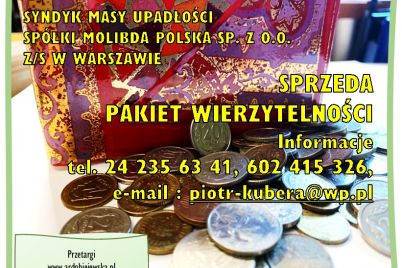 ef-119-ardobiejewska.pl-syndyk-sprzeda-pakiet-wierzytelnosci.jpg